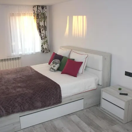 Apartment Amedeea's